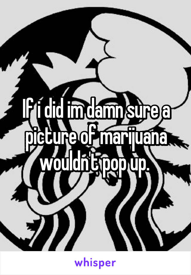 If i did im damn sure a picture of marijuana wouldn't pop up. 