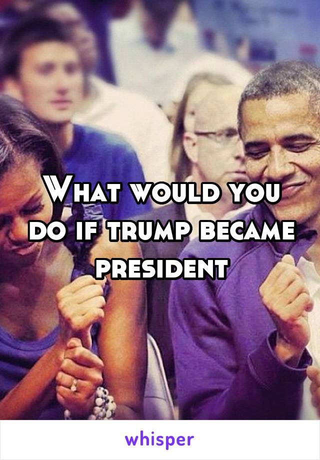 What would you do if trump became president