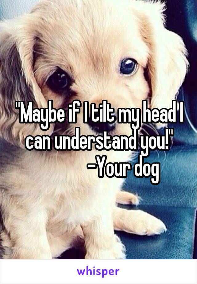 "Maybe if I tilt my head I can understand you!"
             -Your dog