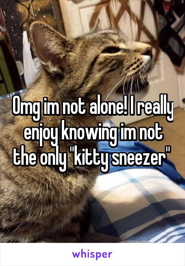 Omg im not alone! I really enjoy knowing im not the only "kitty sneezer" 