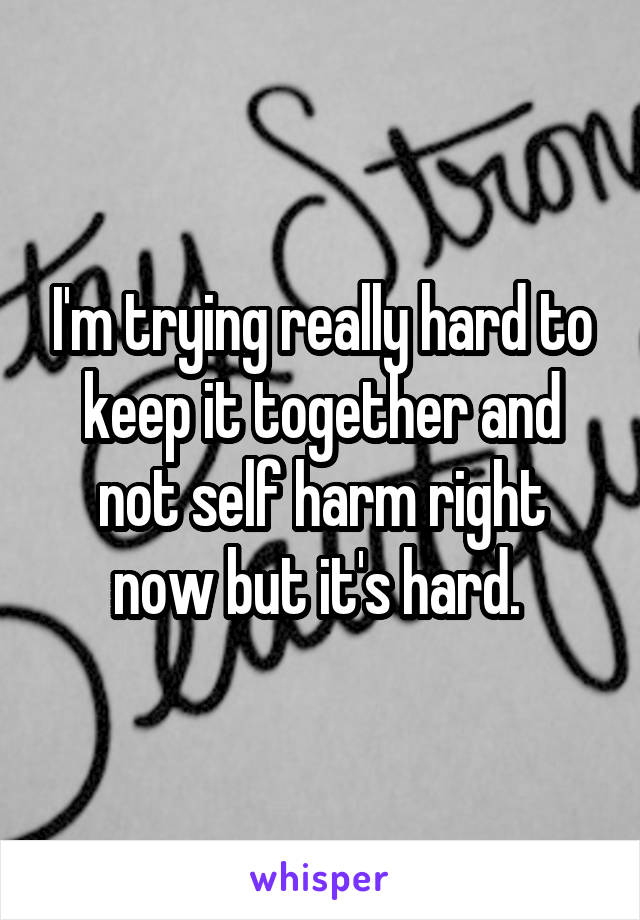 I'm trying really hard to keep it together and not self harm right now but it's hard. 