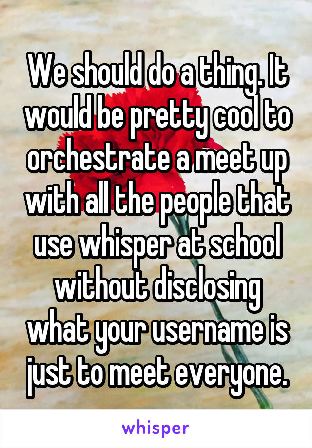 We should do a thing. It would be pretty cool to orchestrate a meet up with all the people that use whisper at school without disclosing what your username is just to meet everyone.