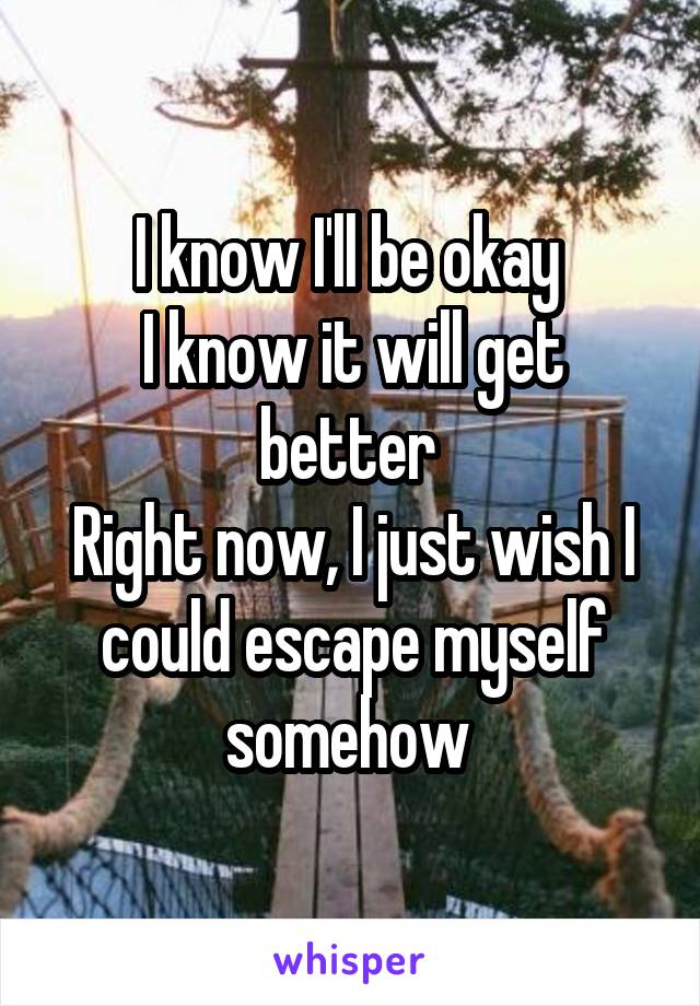 I know I'll be okay 
I know it will get better 
Right now, I just wish I could escape myself somehow 