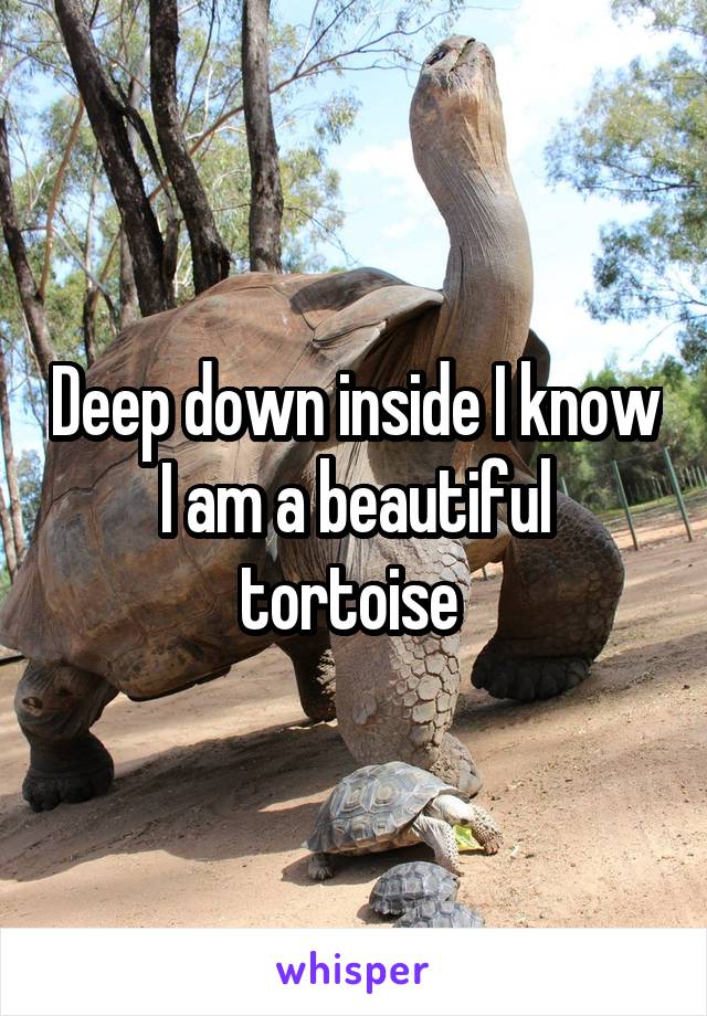 Deep down inside I know I am a beautiful tortoise 