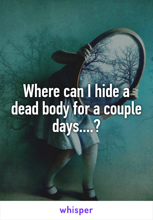 Where can I hide a dead body for a couple days....?