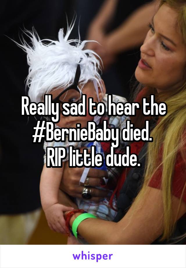 Really sad to hear the #BernieBaby died. 
RIP little dude.