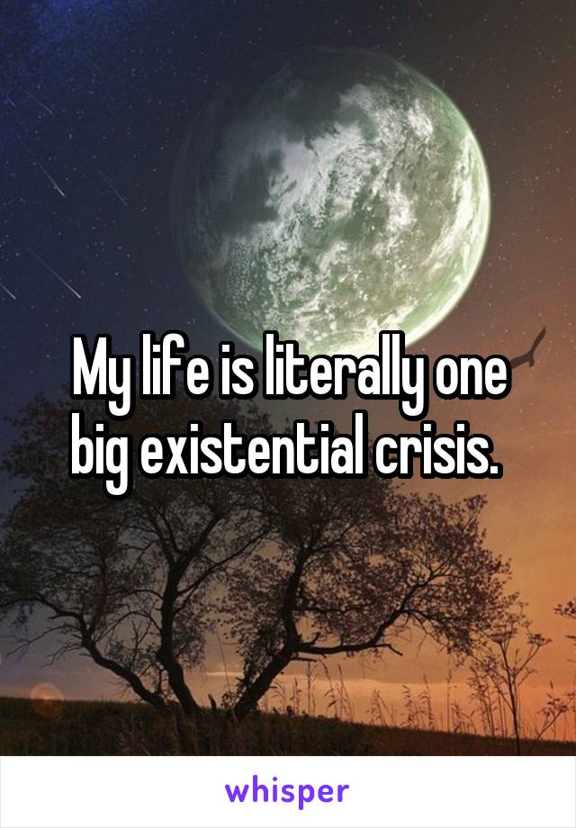 My life is literally one big existential crisis. 