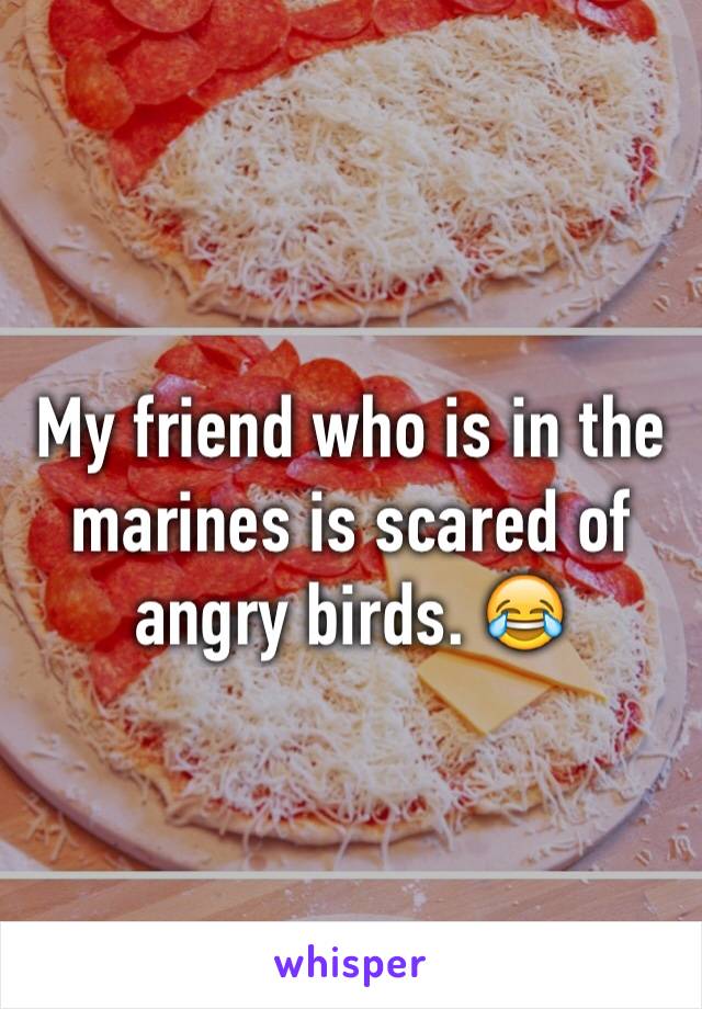 My friend who is in the marines is scared of angry birds. 😂