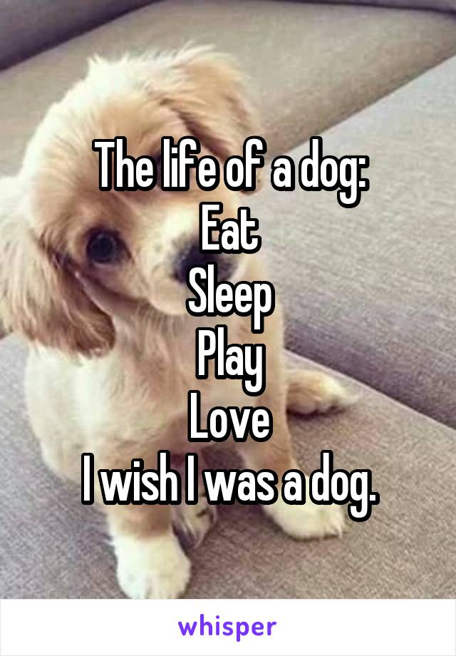 The life of a dog:
Eat
Sleep
Play
Love
I wish I was a dog.