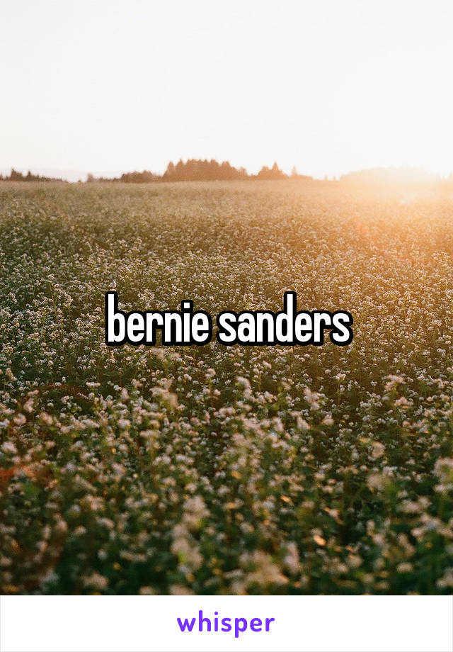 bernie sanders