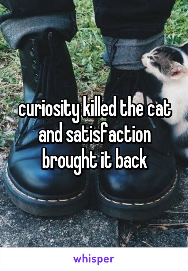 curiosity killed the cat and satisfaction brought it back