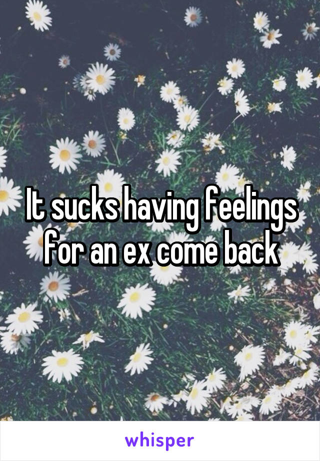 It sucks having feelings for an ex come back