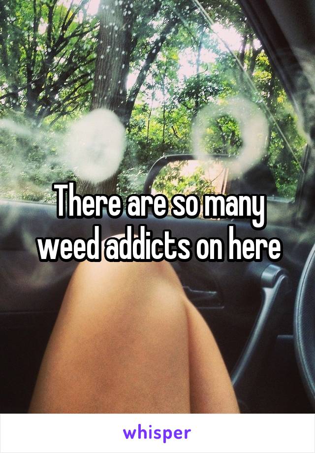 There are so many weed addicts on here