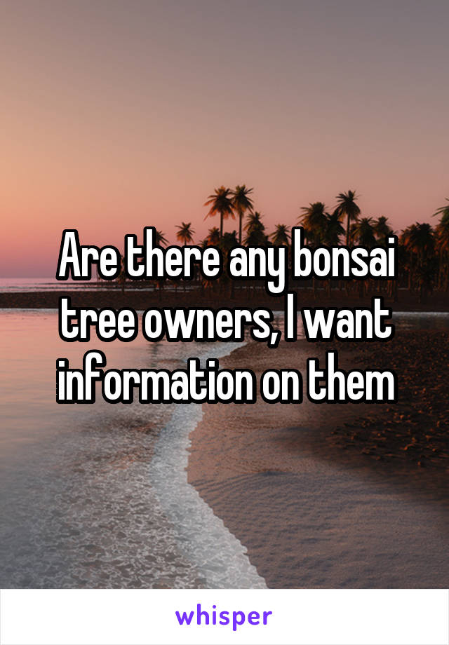 Are there any bonsai tree owners, I want information on them