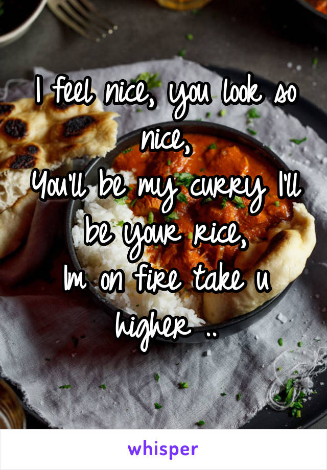 I feel nice, you look so nice,
You'll be my curry I'll be your rice,
Im on fire take u higher ..
