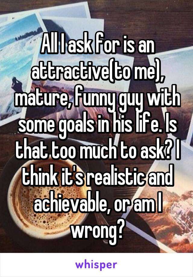 All I ask for is an attractive(to me), mature, funny guy with some goals in his life. Is that too much to ask? I think it's realistic and achievable, or am I wrong?