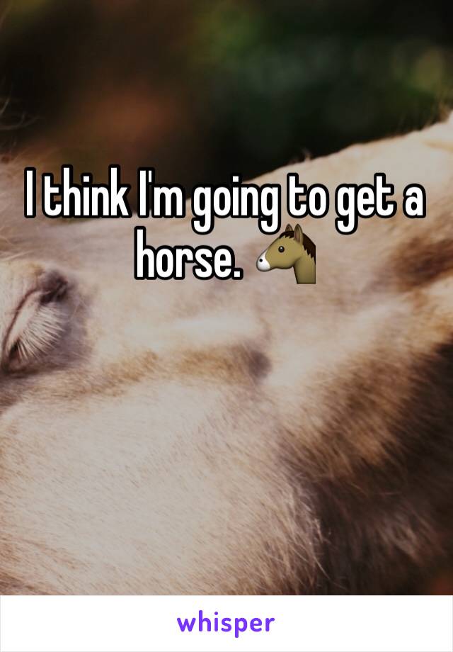 I think I'm going to get a horse. 🐴