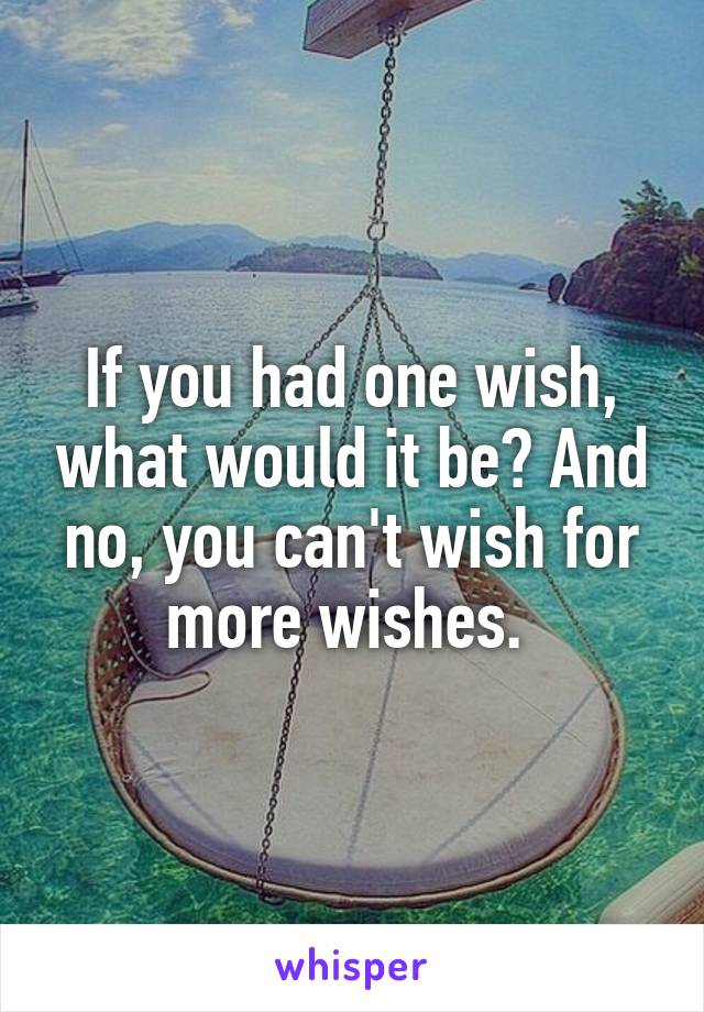 If you had one wish, what would it be? And no, you can't wish for more wishes. 