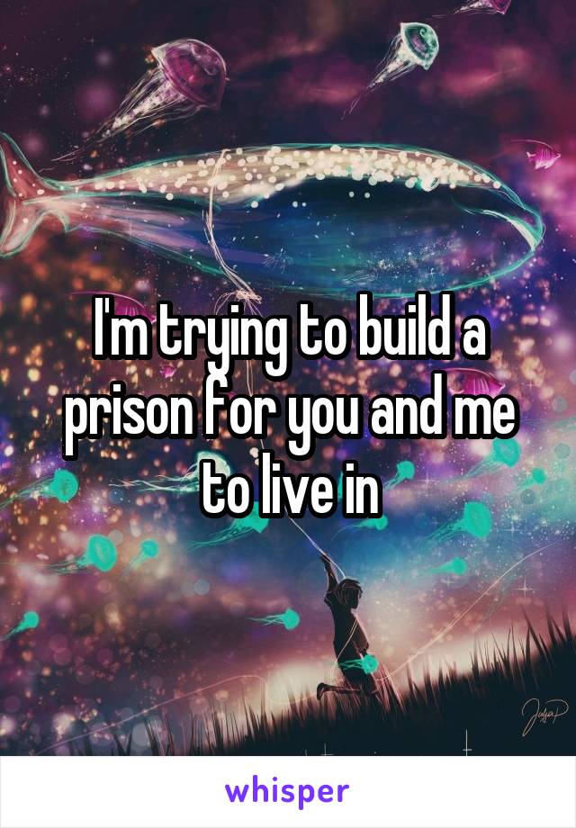 I'm trying to build a prison for you and me to live in