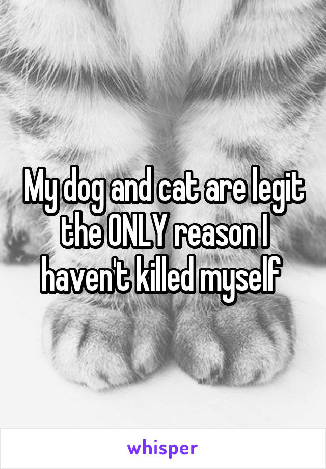 My dog and cat are legit the ONLY reason I haven't killed myself 