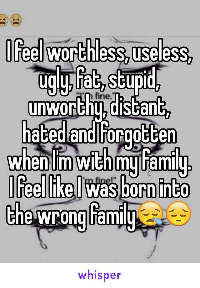 I feel worthless, useless, ugly, fat, stupid, unworthy, distant, hated and forgotten when I'm with my family. I feel like I was born into the wrong family😪😔