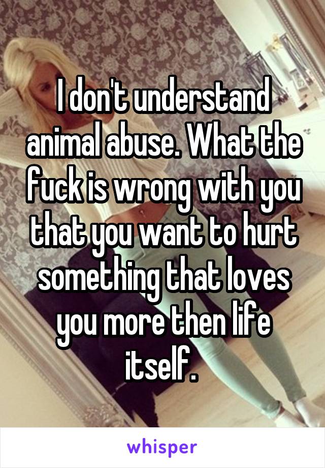 I don't understand animal abuse. What the fuck is wrong with you that you want to hurt something that loves you more then life itself. 