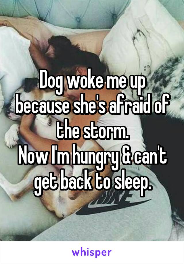 Dog woke me up because she's afraid of the storm.
Now I'm hungry & can't get back to sleep.