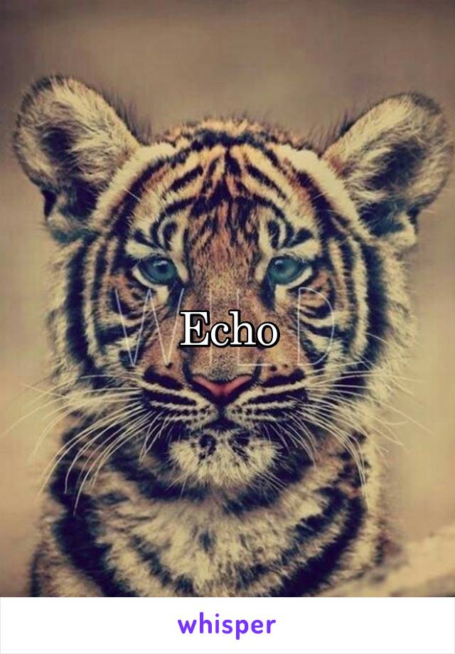 Echo