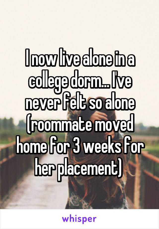 I now live alone in a college dorm... I've never felt so alone (roommate moved home for 3 weeks for her placement) 