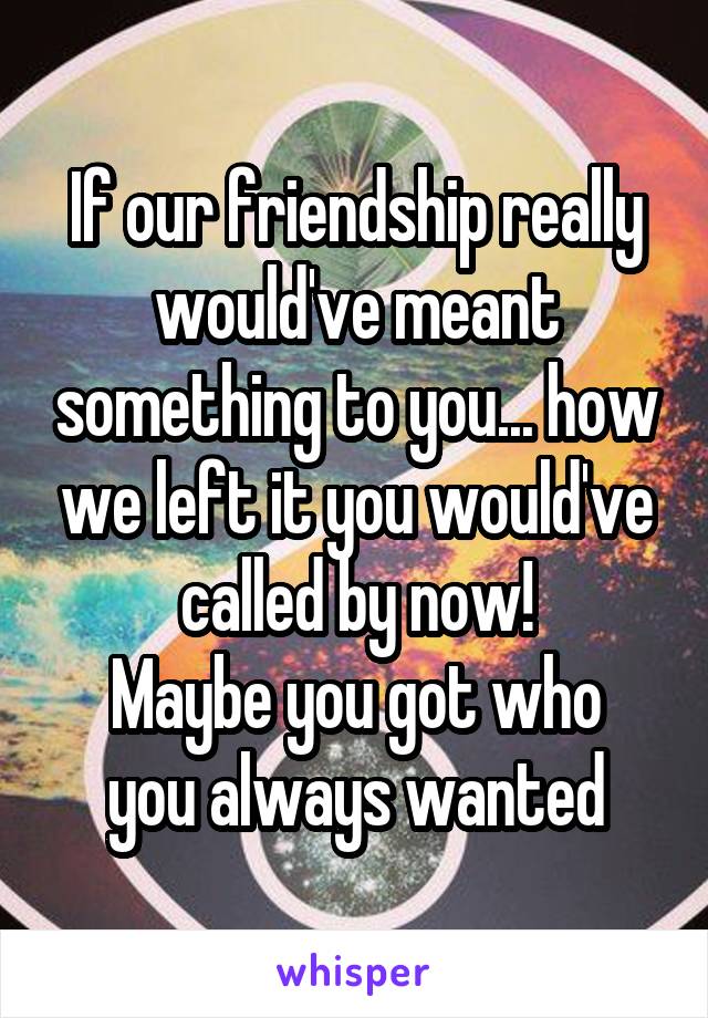 If our friendship really would've meant something to you... how we left it you would've called by now!
Maybe you got who you always wanted