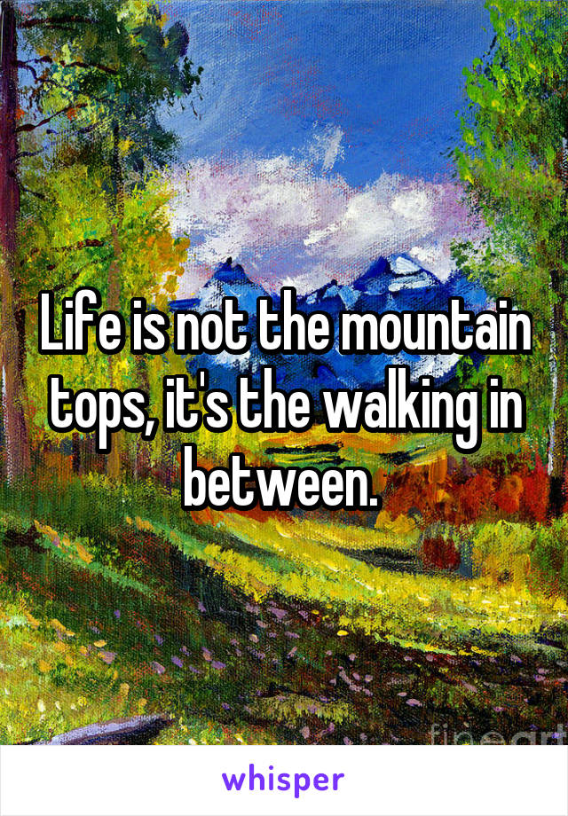 Life is not the mountain tops, it's the walking in between. 