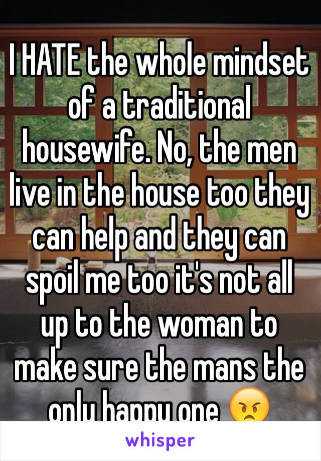 I HATE the whole mindset of a traditional housewife. No, the men live in the house too they can help and they can spoil me too it's not all up to the woman to make sure the mans the only happy one 😠