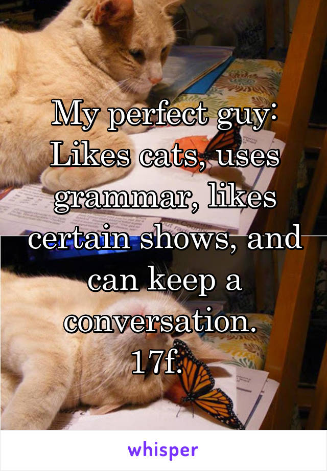 My perfect guy:
Likes cats, uses grammar, likes certain shows, and can keep a conversation. 
17f.  