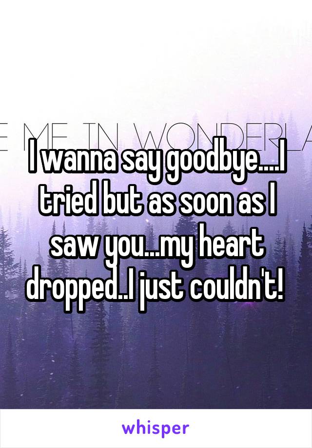 I wanna say goodbye....I tried but as soon as I saw you...my heart dropped..I just couldn't! 