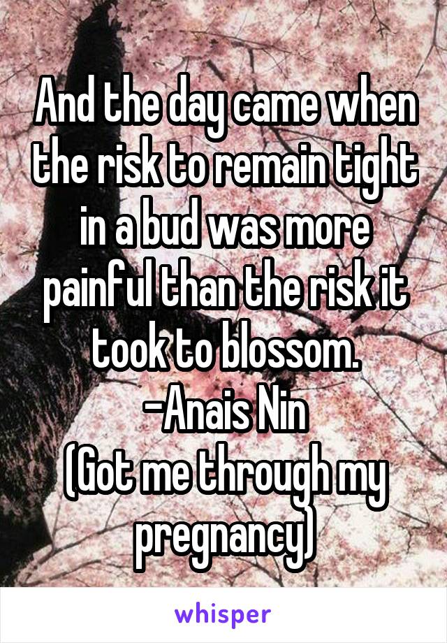 And the day came when the risk to remain tight in a bud was more painful than the risk it took to blossom.
-Anais Nin
(Got me through my pregnancy)