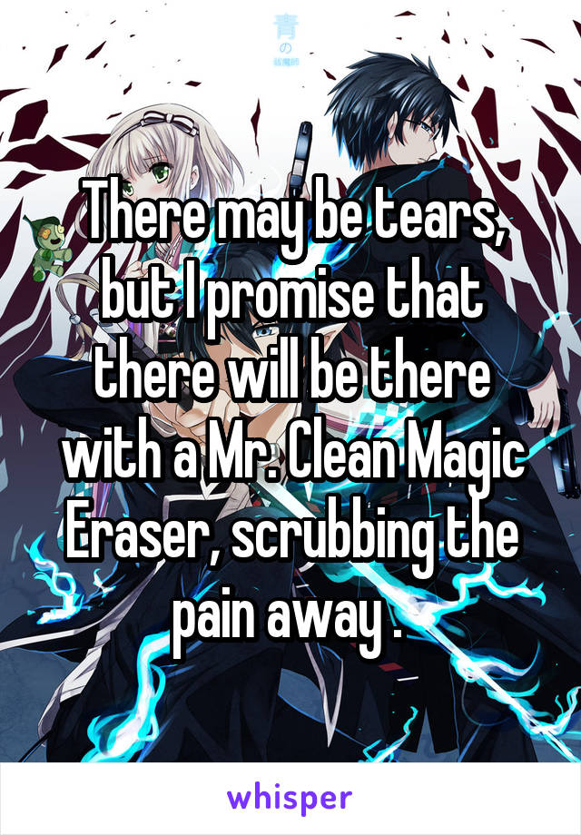 There may be tears, but I promise that there will be there with a Mr. Clean Magic Eraser, scrubbing the pain away . 