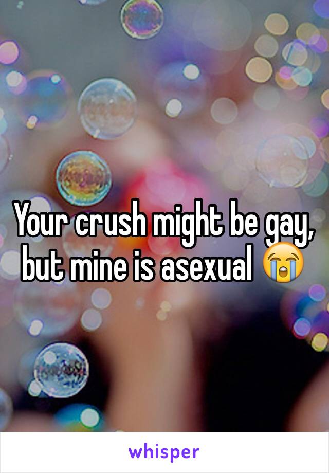 Your crush might be gay, but mine is asexual 😭