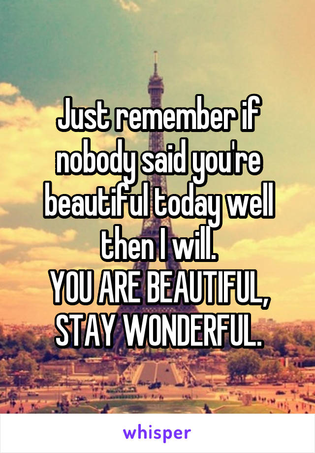 Just remember if nobody said you're beautiful today well then I will.
YOU ARE BEAUTIFUL, STAY WONDERFUL.