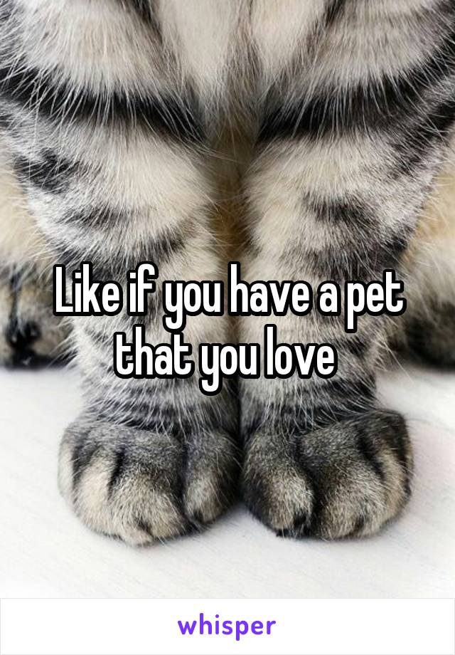 Like if you have a pet that you love 