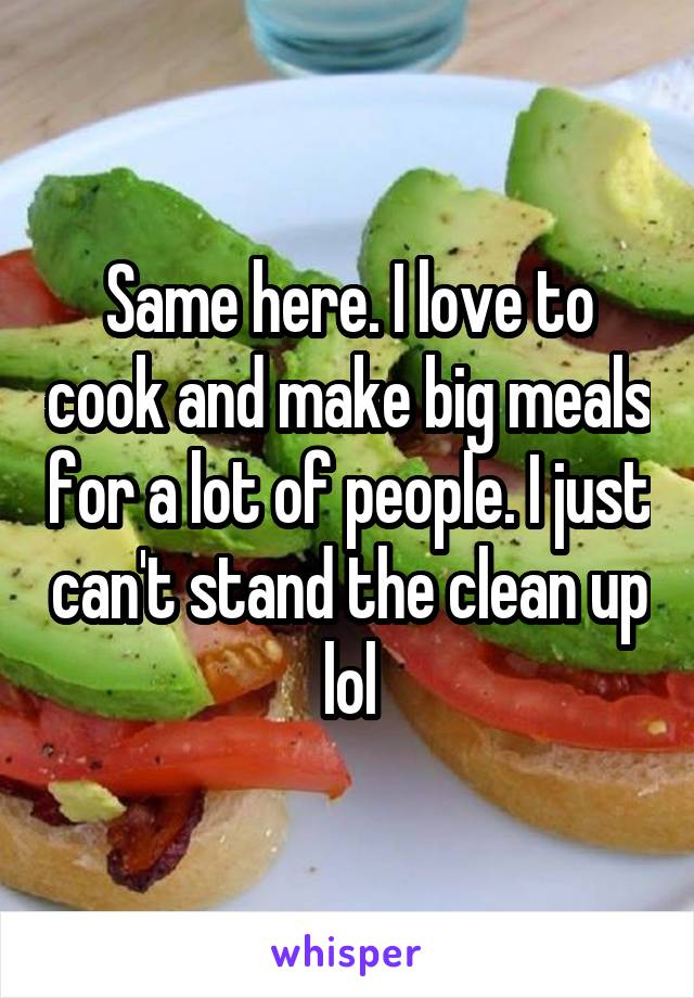 Same here. I love to cook and make big meals for a lot of people. I just can't stand the clean up lol