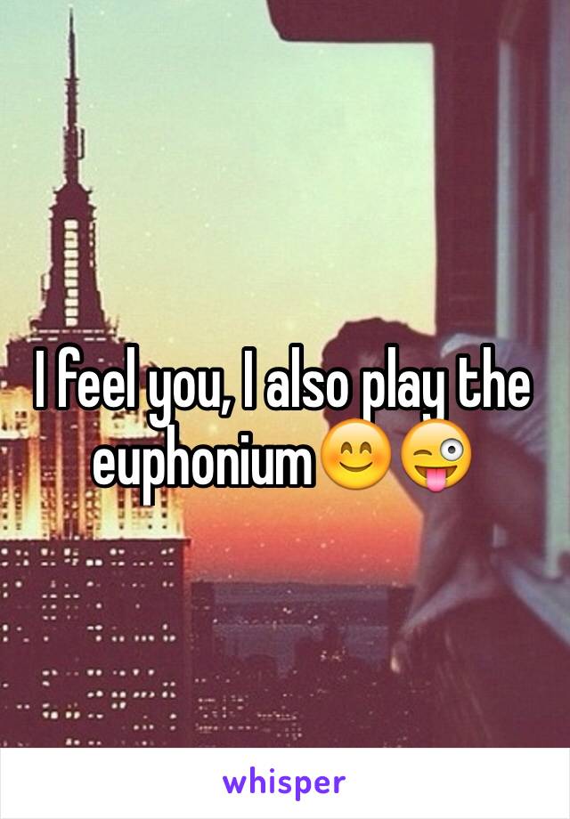 I feel you, I also play the euphonium😊😜