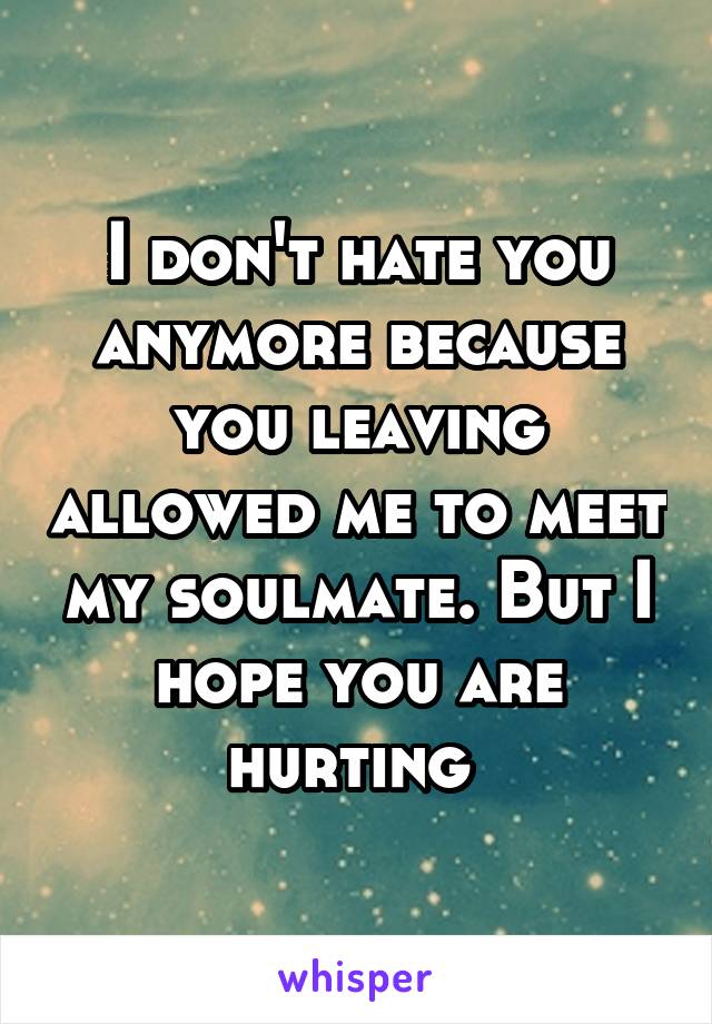 I don't hate you anymore because you leaving allowed me to meet my soulmate. But I hope you are hurting 