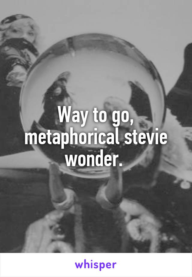 Way to go, metaphorical stevie wonder. 