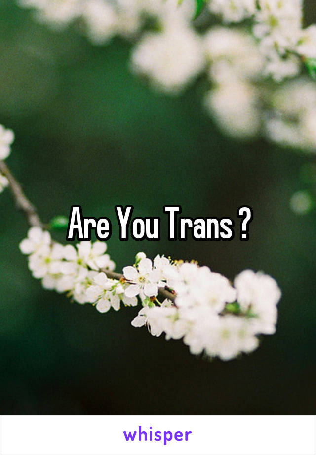 Are You Trans ?