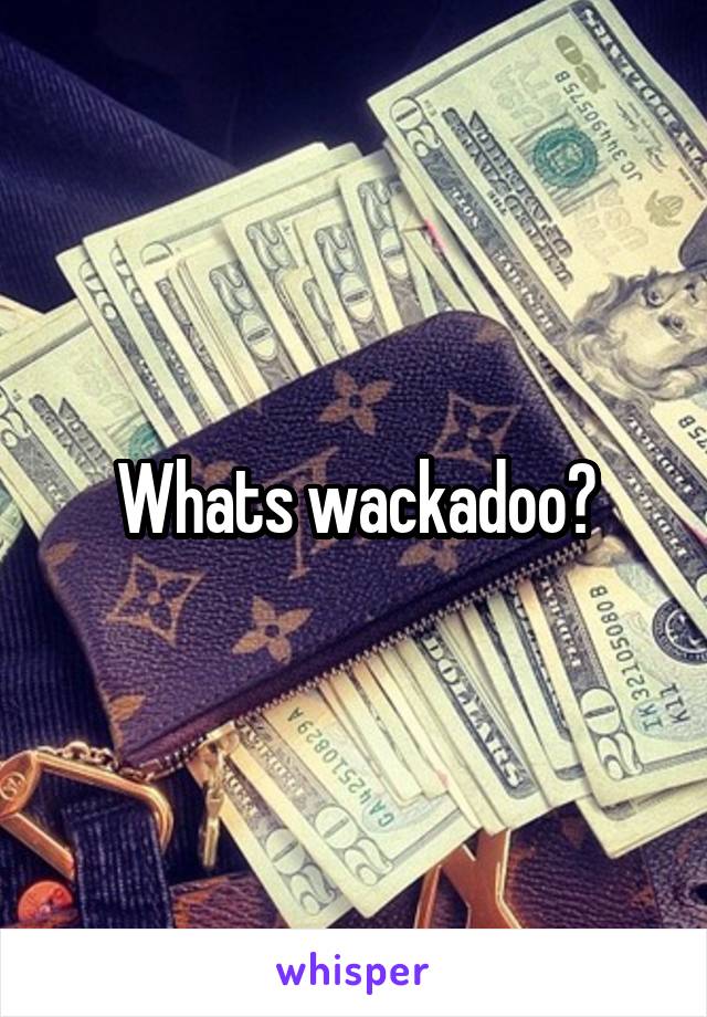 Whats wackadoo?