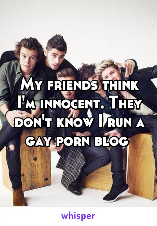 My friends think I'm innocent. They don't know I run a gay porn blog 