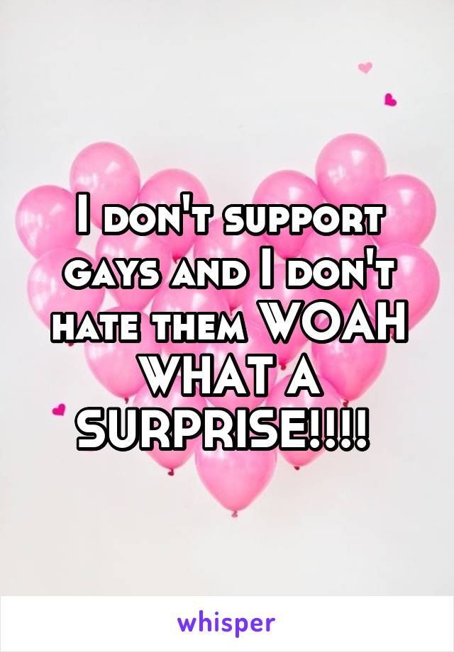 I don't support gays and I don't hate them WOAH WHAT A SURPRISE!!!! 