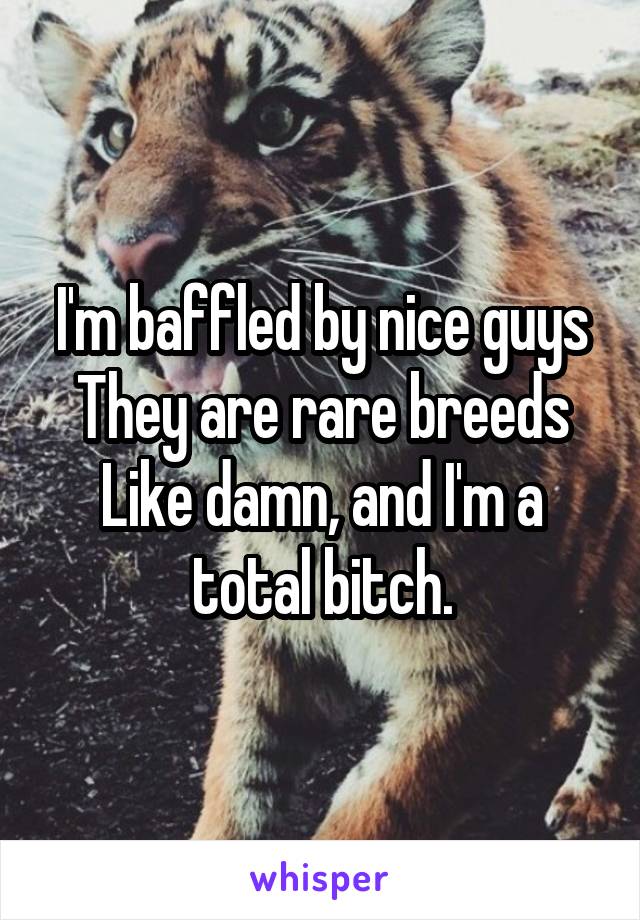 I'm baffled by nice guys
They are rare breeds
Like damn, and I'm a total bitch.