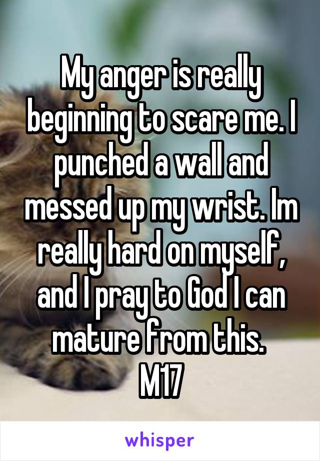 My anger is really beginning to scare me. I punched a wall and messed up my wrist. Im really hard on myself, and I pray to God I can mature from this. 
M17