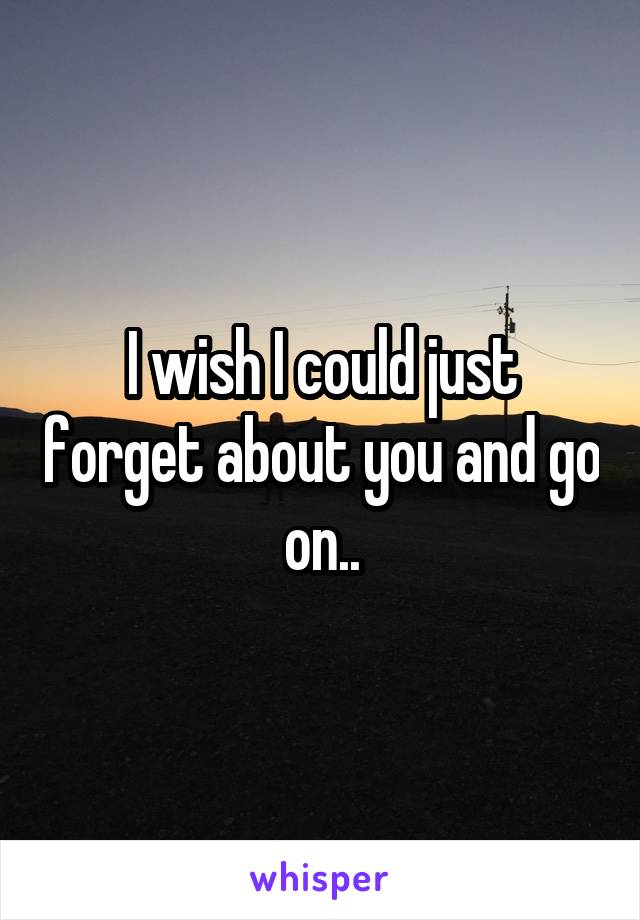 I wish I could just forget about you and go on..